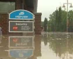 In 2013, a heavy flood caused big destruction of more than 50 million US Dollars. Also, several fishes, a pot-bellied pig, and two peacocks lost their